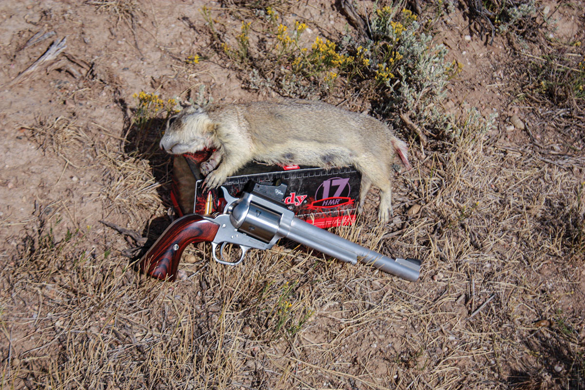 Dick’s Freedom Arms Model 97 and Hornady’s 17-grain 17 HMR ammunition excel at field work in Wyoming.